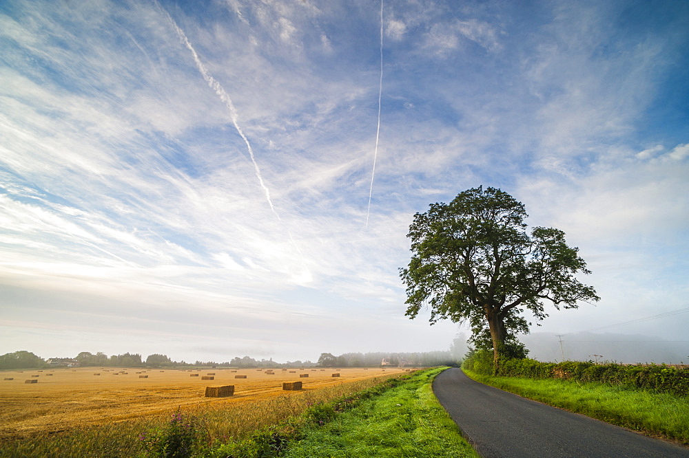 Quiet country road, Longborough, The Cotswolds, Gloucestershire, England, United Kingdom, Europe 