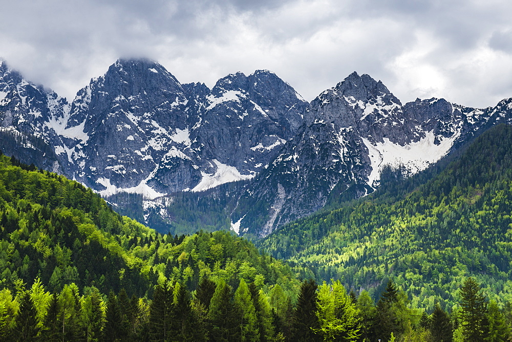 Juilan Alps just outside Kranjska Gora, Triglav National Park, Upper Carniola, Slovenia, Europe