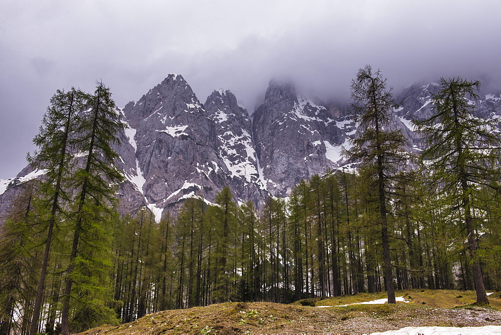 Juilan Alps, seen on the Vrsiska Cesta (road) (Vrsic Pass) near Kranjska Gora in the Triglav National Park, Slovenia, Europe