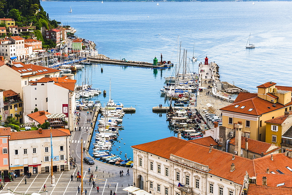 Port of Piran (Luka Piran), Primorska, Slovenian Istria, Slovenia, Europe