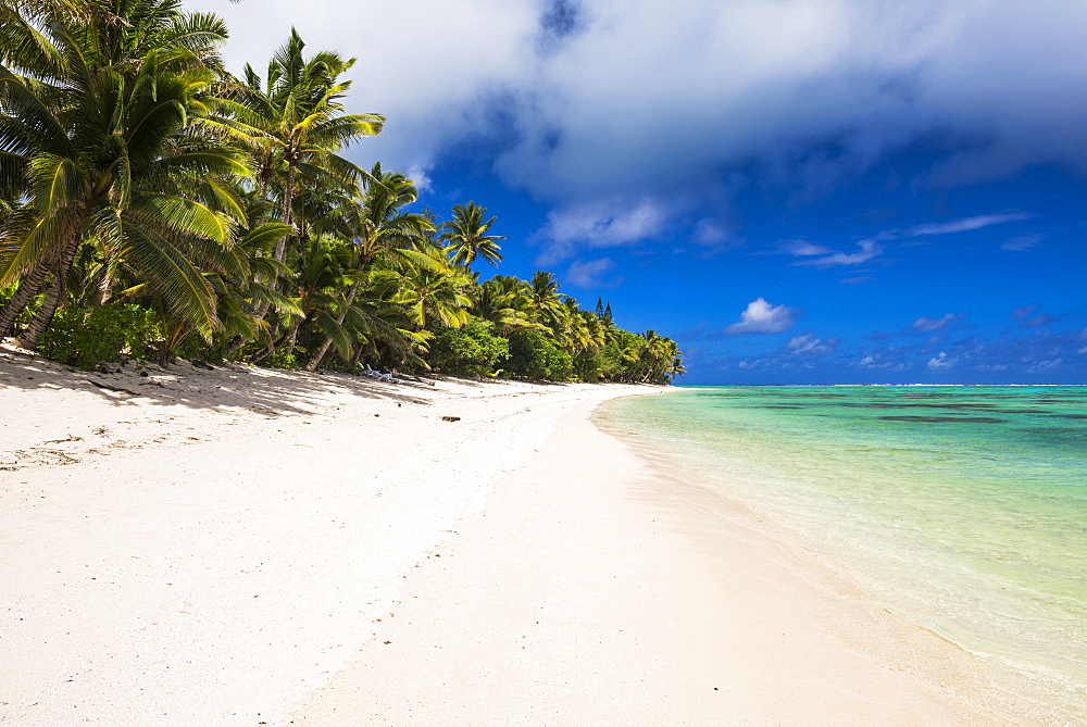 White sandy beach and palm trees on tropical Rarotonga Island, Cook Islands, South Pacific, Pacific