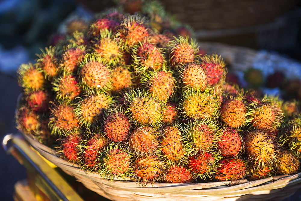 Rambutan, Mawlamyine market, Mon State, Myanmar (Burma), Asia