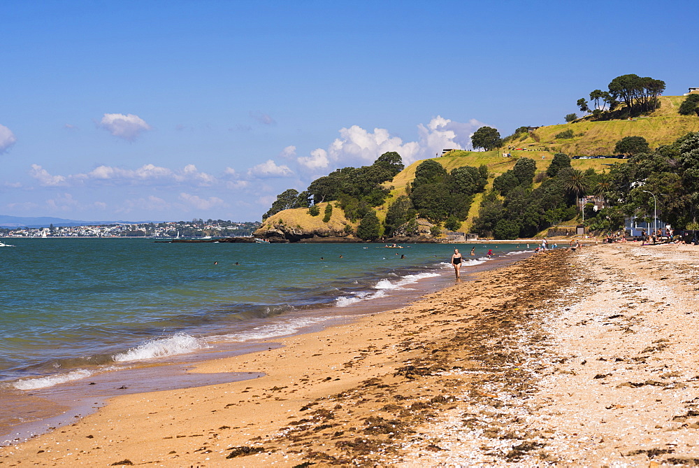 Cheltenham Beach, Devenport, Auckland, North Island, New Zealand, Pacific