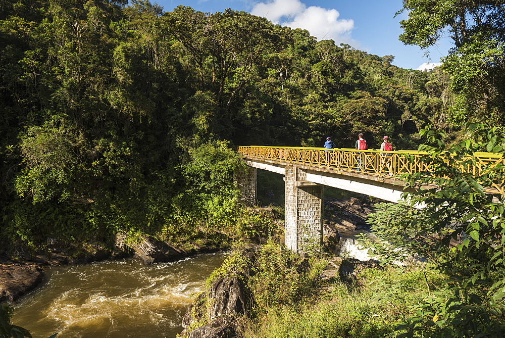 Tourists hiking in Ranomafana National Park, Madagascar Central Highlands, Madagascar, Africa