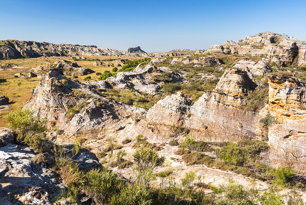 Isalo National Park, Ihorombe Region, Southwest Madagascar, Africa