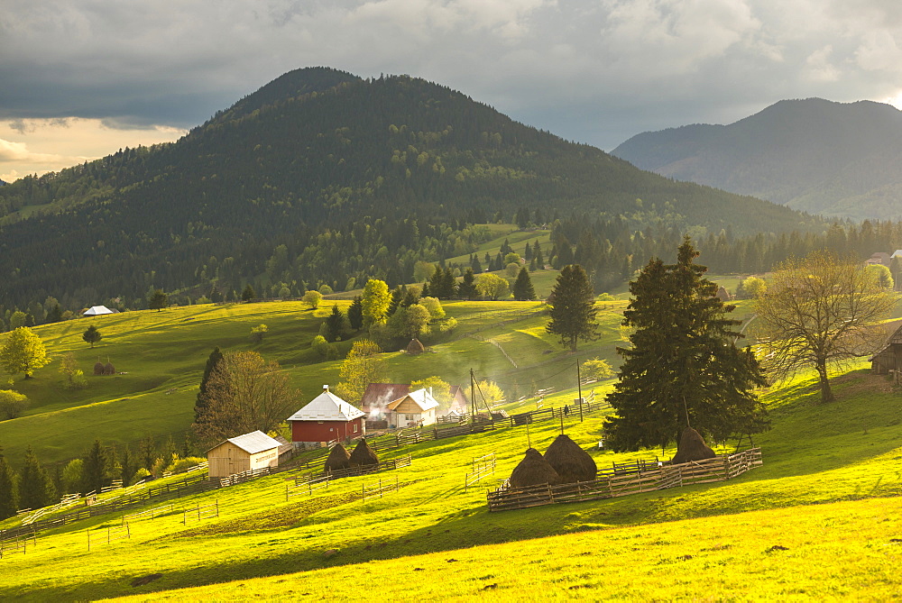 Farm and haystacks in the rural Transylvania landscape at sunset, Piatra Fantanele, Transylvania, Romania, Europe