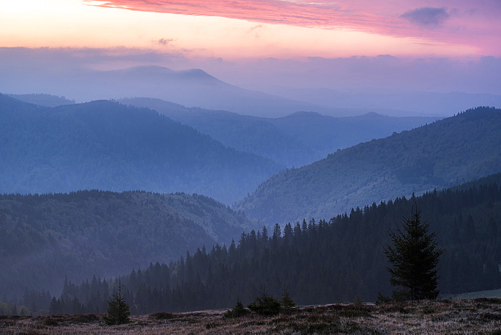 Carpathian Mountains landscape during a misty sunrise, Ranca, Oltenia Region, Romania, Europe