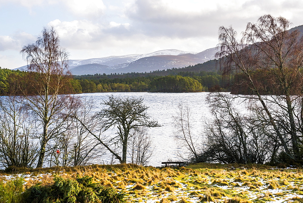 Loch an Eilein with Cairngorm Mountain behind, Aviemore, Cairngorms National Park, Scotland, United Kingdom, Europe