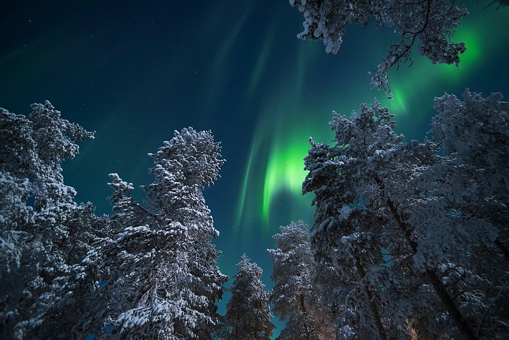 Aurora Borealis (Northern Lights), Pallas-Yllastunturi National Park, Lapland, Finland, Europe