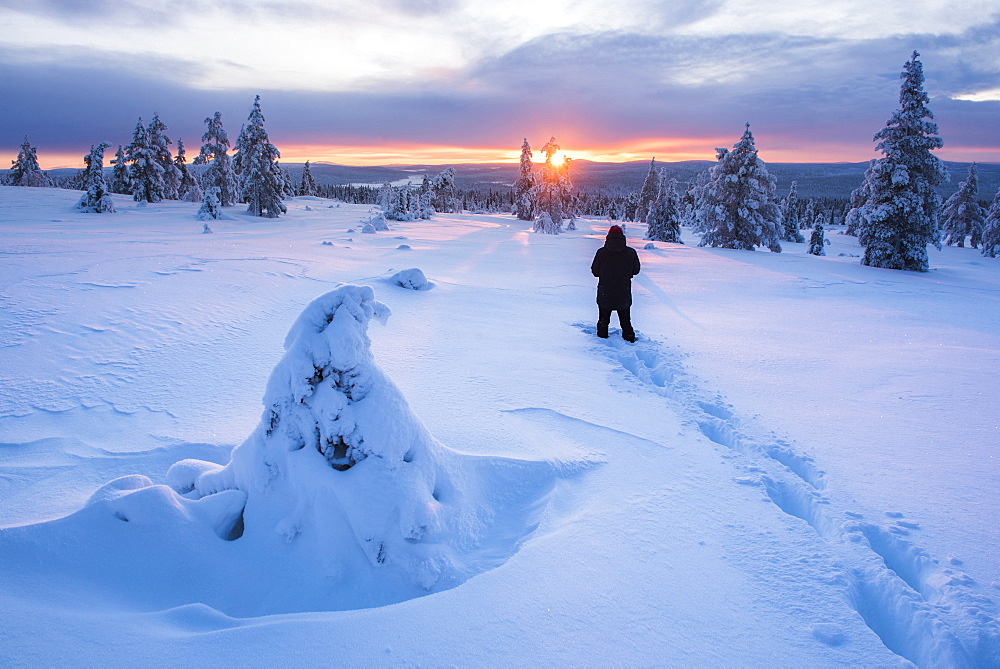 Hiking in Pallas-Yllastunturi National Park, Lapland, Finland, Europe