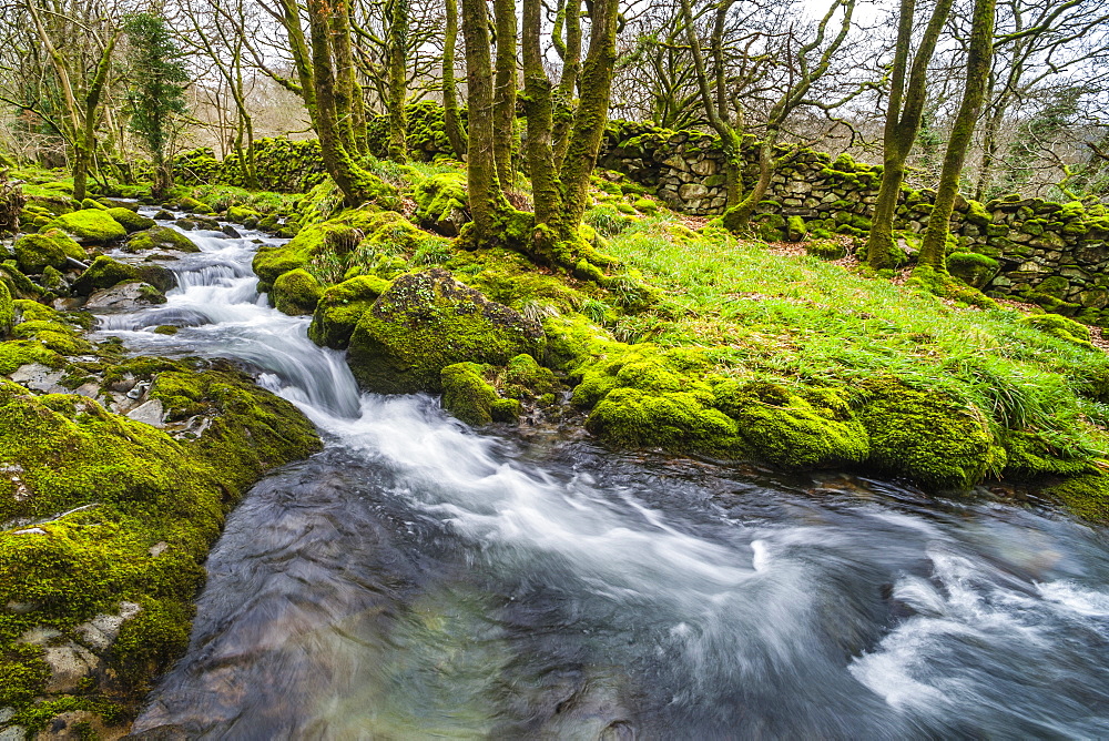 River in the Croesor Valley, Snowdonia National Park, Gwynedd, North Wales, Wales, United Kingdom, Europe