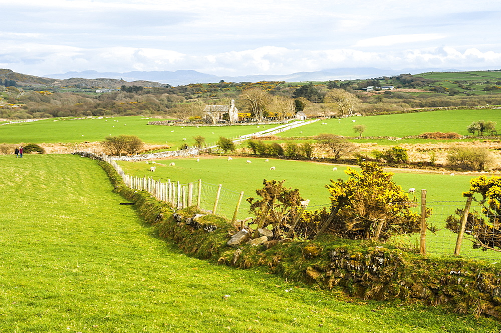 Farm land in Snowdonia National Park, North Wales, Wales, United Kingdom, Europe