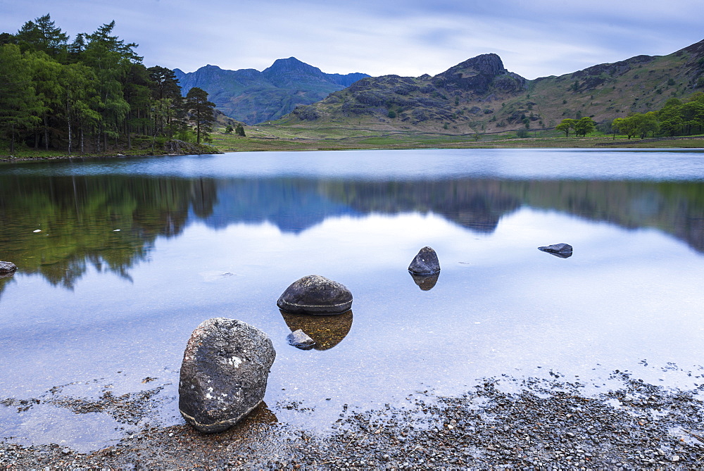 Blea Tarn at sunrise, Lake District National Park, UNESCO World Heritage Site, Cumbria, England, United Kingdom, Europe