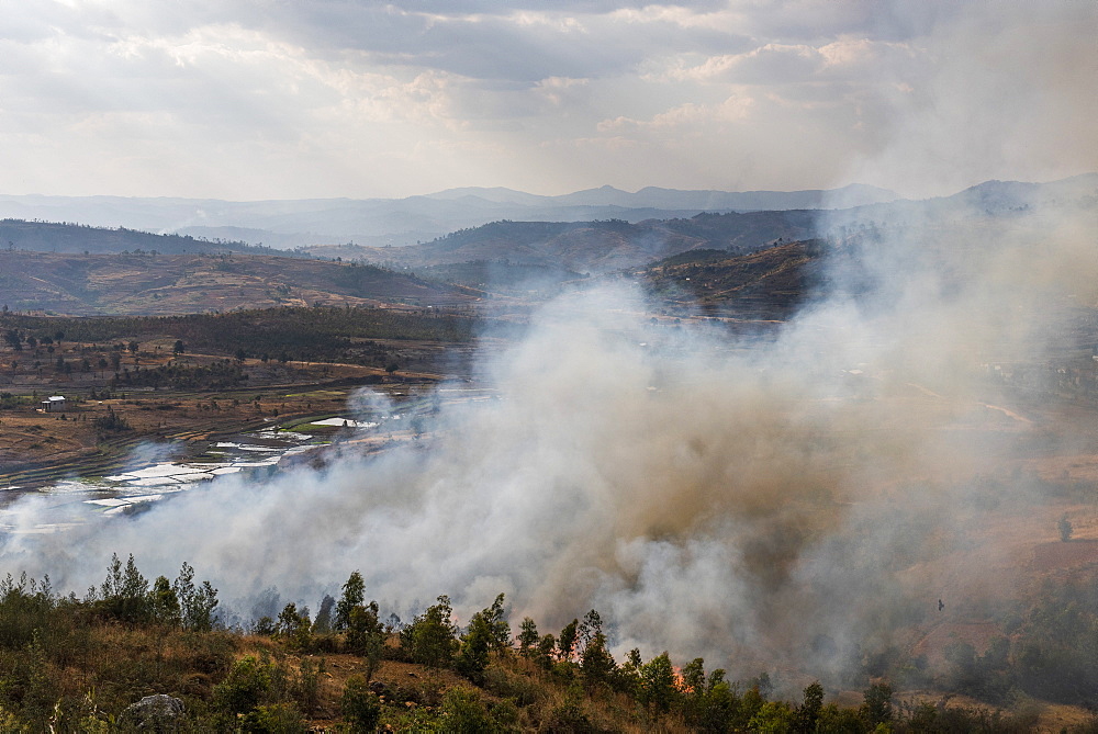 Slash and burn forest fire, Antsirabe, Vakinankaratra Region, Madagascar, Africa