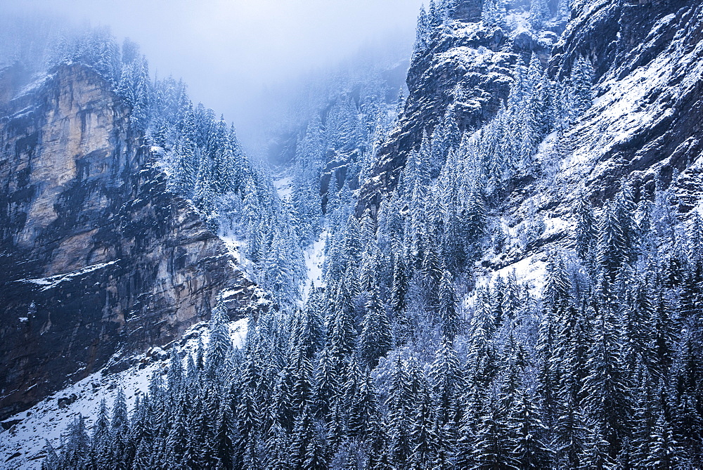 Winter landscape, Avoriaz Ski Area, Port du Soleil, Auvergne Rhone Alpes, French Alps, France, Europe