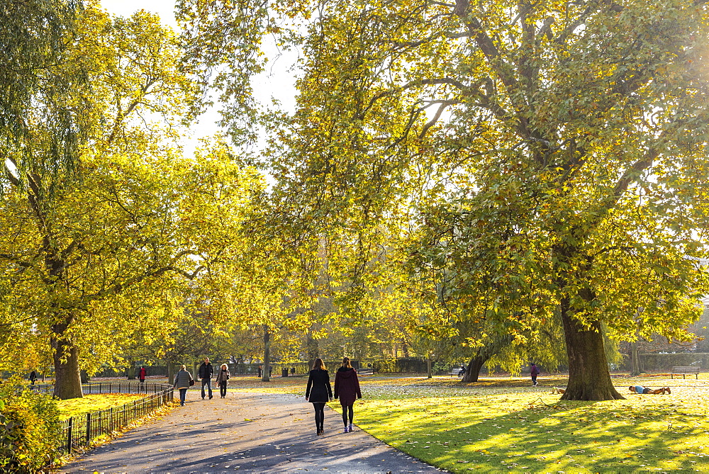 Autumn in Regents Park, one of the Royal Parks of London, England, United Kingdom, Europe