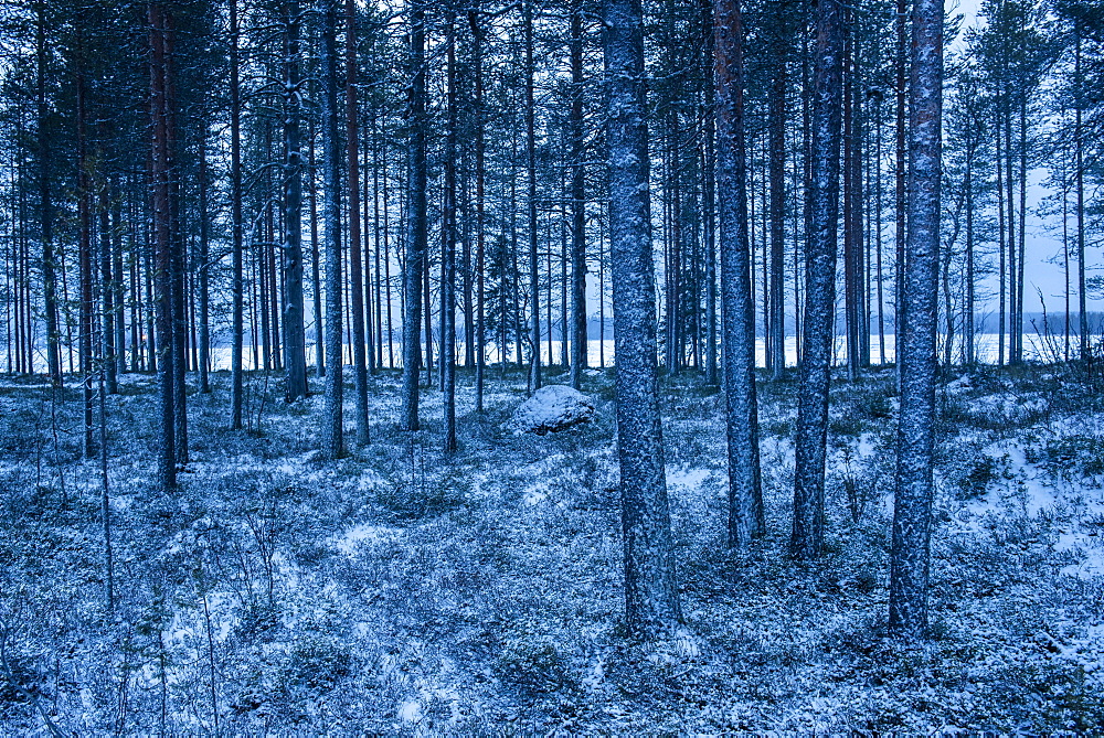 Winter landscape, Akaslompolo, Lapland, Finland, Europe