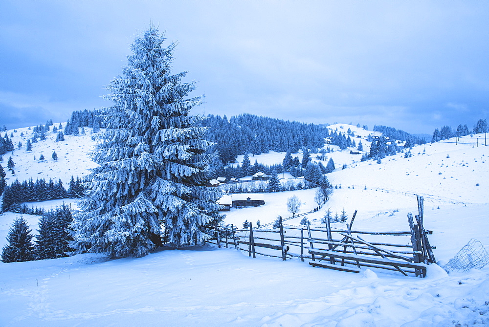 Winter landscape near Bran in the Carpathian Mountains, Transylvania, Romania, Europe