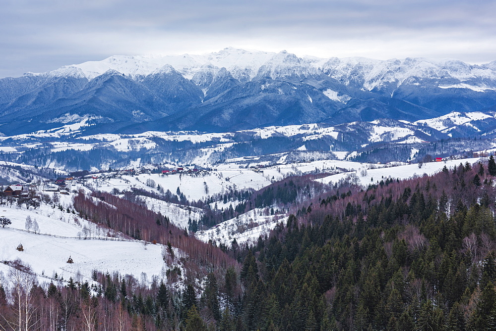 Carpathian Mountains snowy winter landscape, Pestera, Bran, Transylvania, Romania, Europe