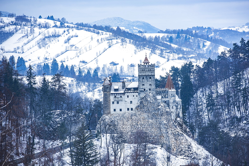 Bran Castle covered in snow in winter, Transylvania, Romania, Europe