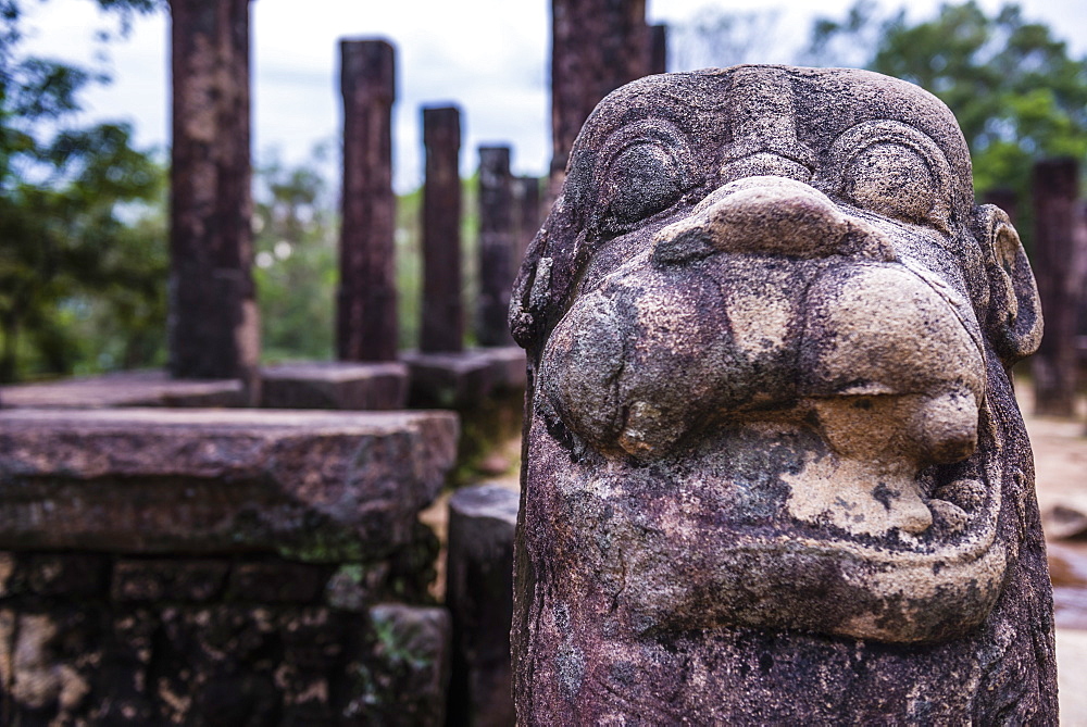 Stone guardian lion statue at the Audience Hall at Parakramabahu's Royal Palace, Polonnaruwa, UNESCO World Heritage Site, Sri Lanka, Asia