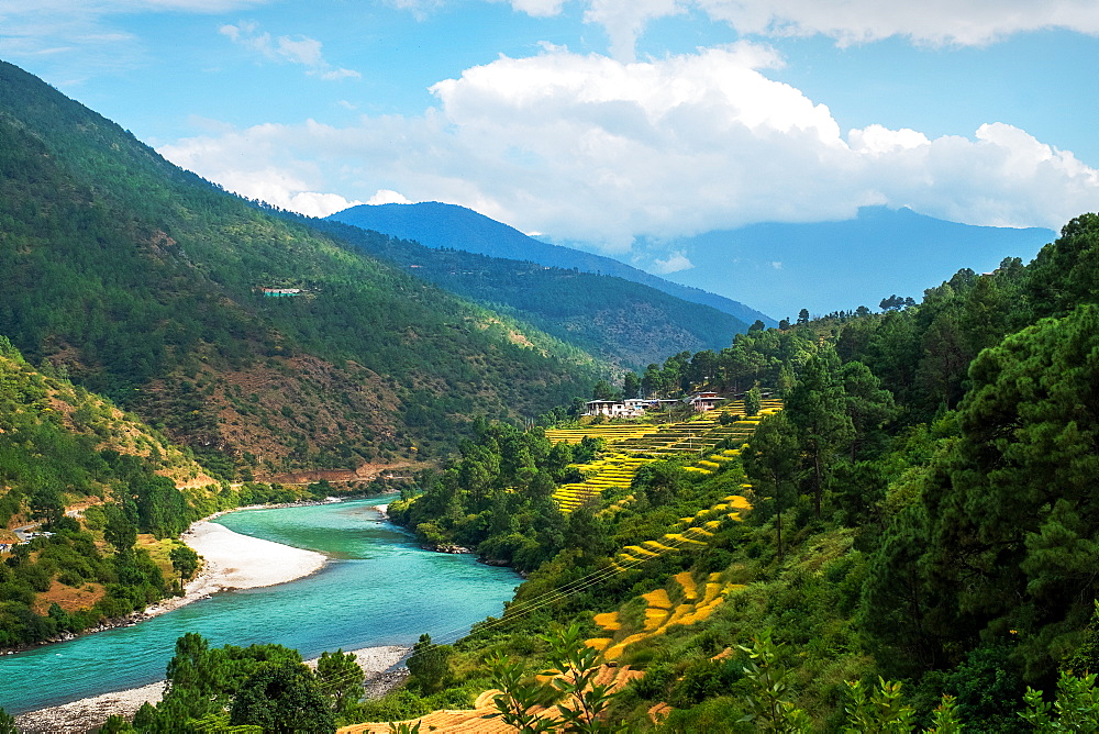 Punakha landscape edged by Pho Chhu River and the Himalayas, Punakha, Bhutan, Asia