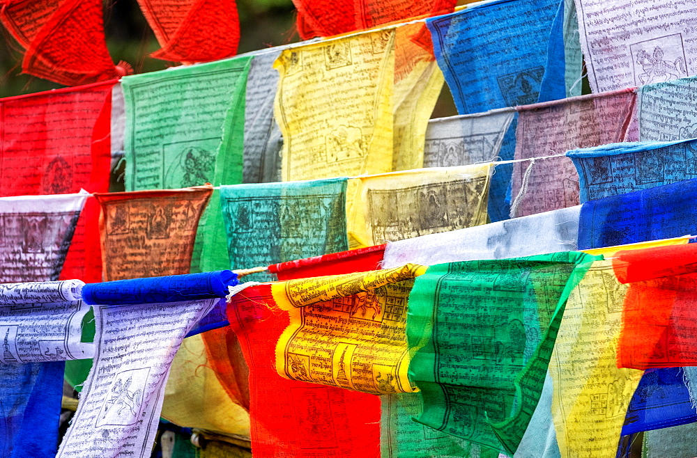 Buddhist Prayer flags carrying worshippers wishes sway in the wind, Bhutan, Asia