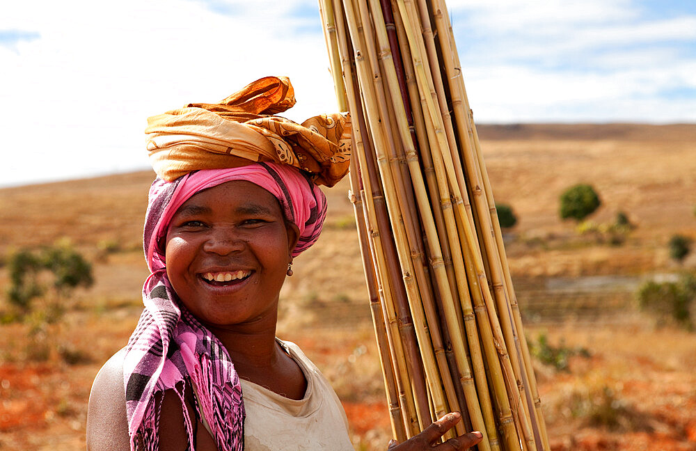 Portrait of local villager collecting Bamboo, Isalo, Madagascar, Africa