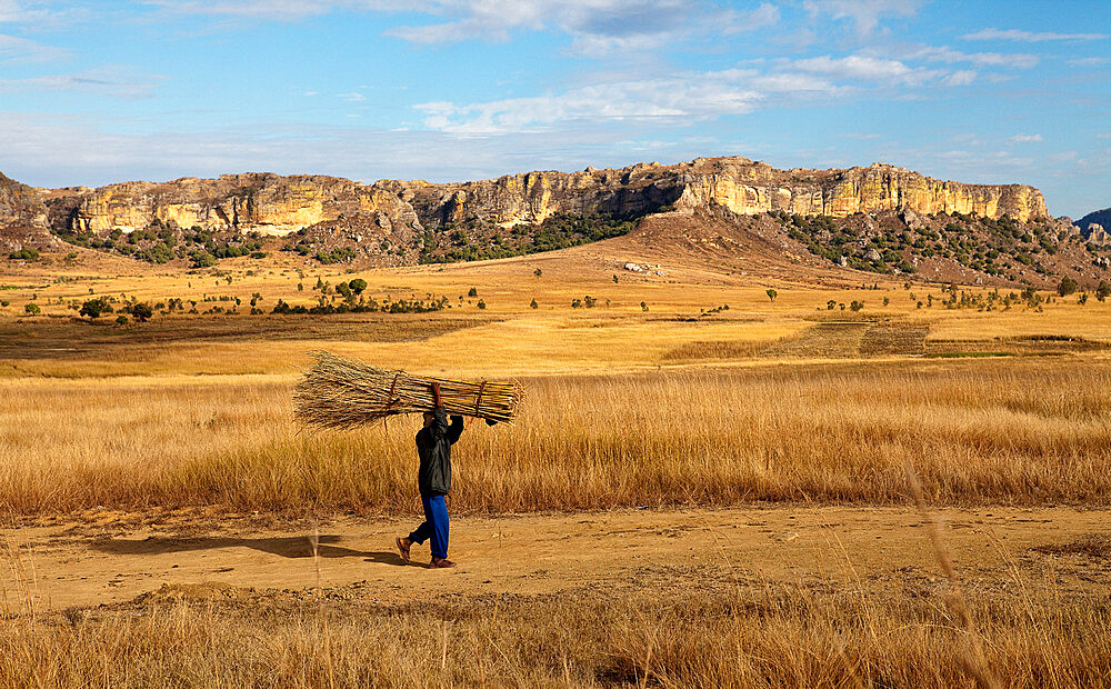 Landscape of Isalo National Park, Madagascar, Africa