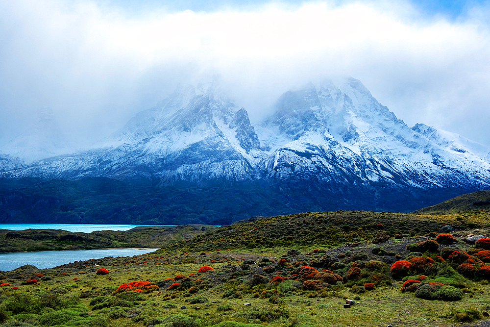 Torres del Paine National Park, southern Chile, South America