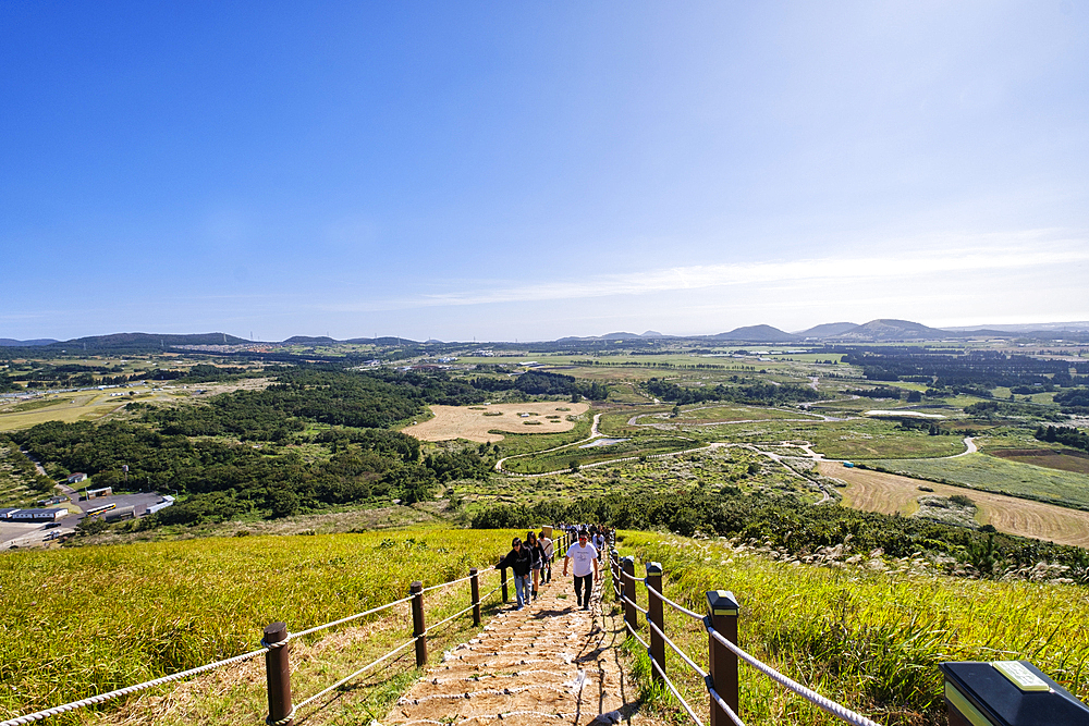 Visitors climbing up path beside silver grass growing during autumn on Saebyeol Oreum peak, Jeju Island, South Korea, Asia