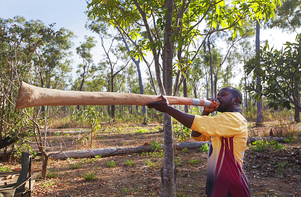 Aboriginal elder playing a freshly cut didgeridoo, Nyinyikay Homeland, East Arnhem Land, Northern Territory, Australia, Pacific