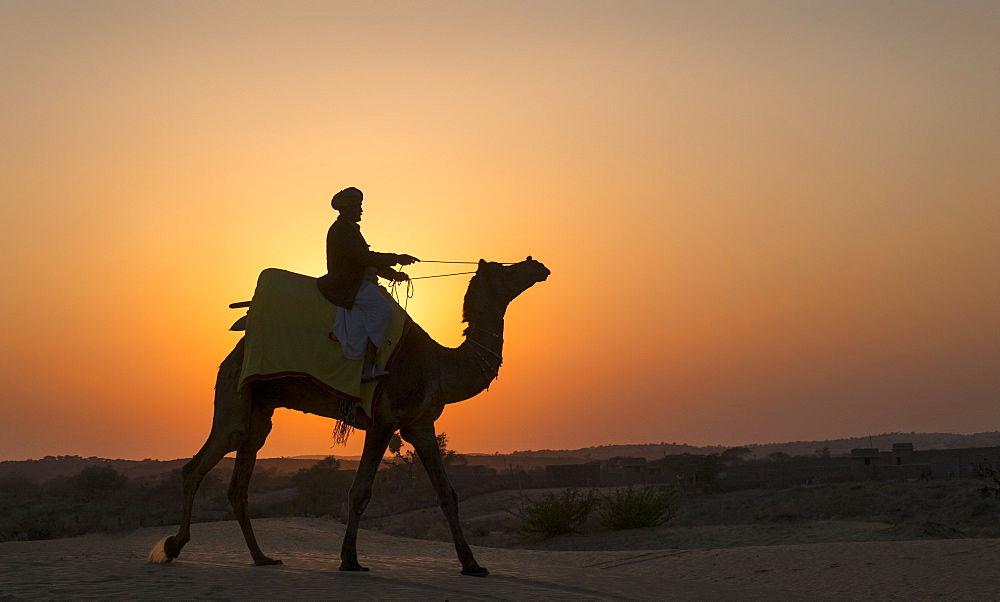 Man riding camel at sunset in Thar Desert, India, Asia