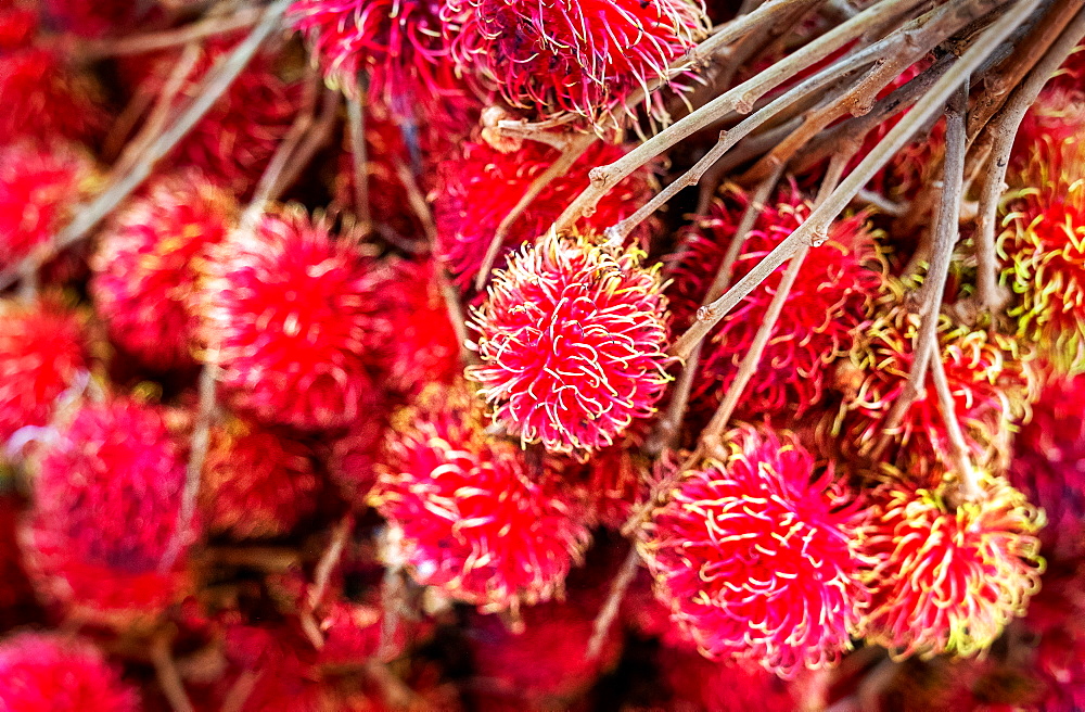 Fresh rambutan fruit sold at market in Togian Islands, Indonesia, Southeast Asia, Asia