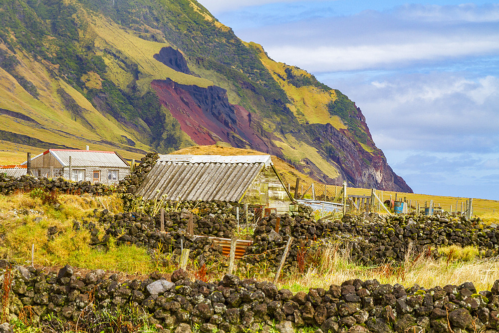 View of the potato patch on Tristan da Cunha, the most remote inhabited location on Earth, Tristan da Cunha, South Atlantic Ocean