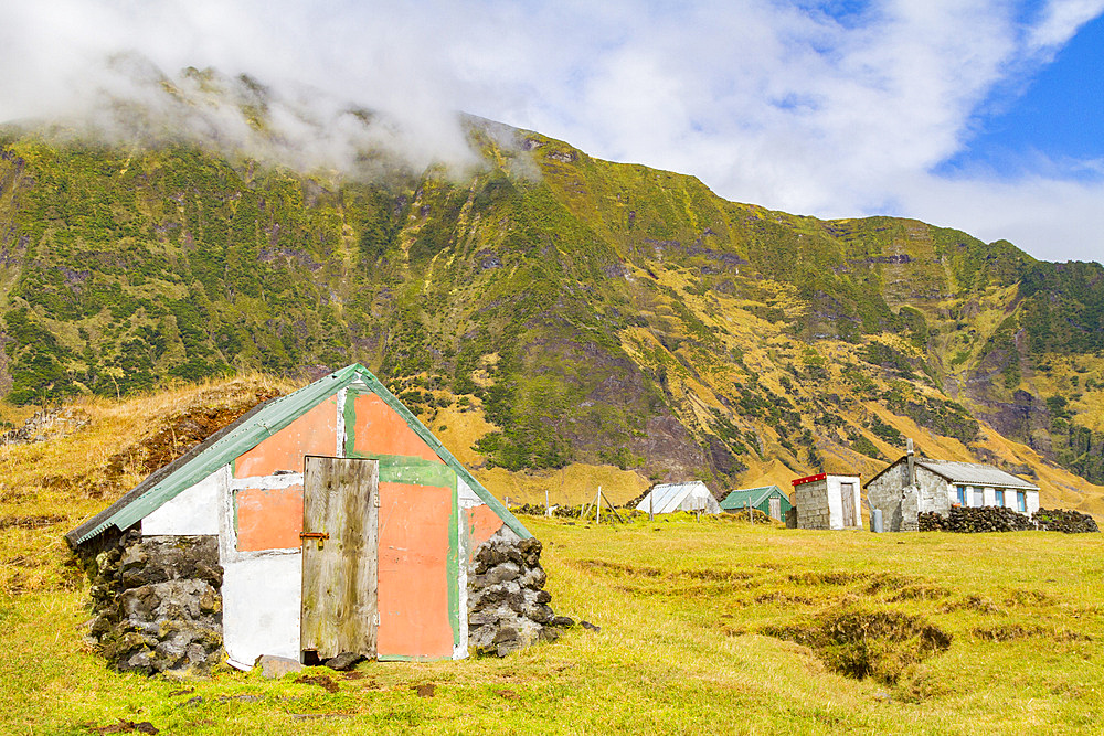 View of the potato patch on Tristan da Cunha, the most remote inhabited location on Earth, Tristan da Cunha, South Atlantic Ocean