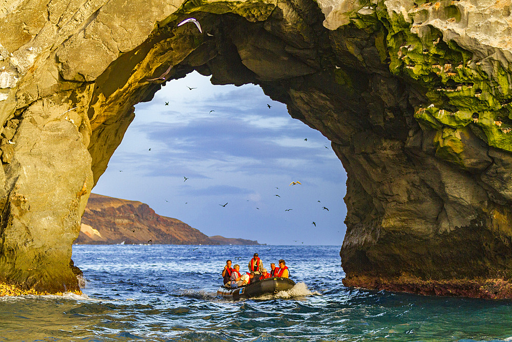 A dawn Zodiac tour of Boatswain Bird Island just off Ascension Island in the southern tropical Atlantic Ocean, South Atlantic Ocean