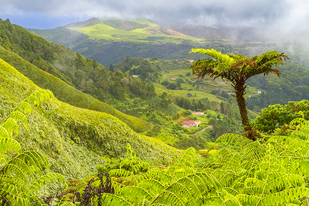 View from the trail of Diana's Peak National Park on Saint Helena, South Atlantic Ocean