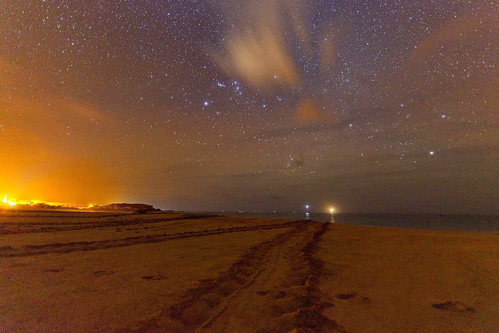 Green Sea Turtle (Chelonia mydas) nesting site at night on Long Beach on Ascension Island, Tropical Atlantic Ocean, South Atlantic Ocean