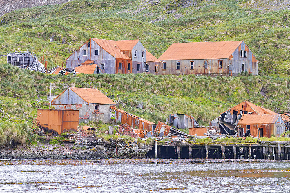 Views of the abandoned whaling station in Prince Olav Harbor on South Georgia, Southern Ocean, Polar Regions