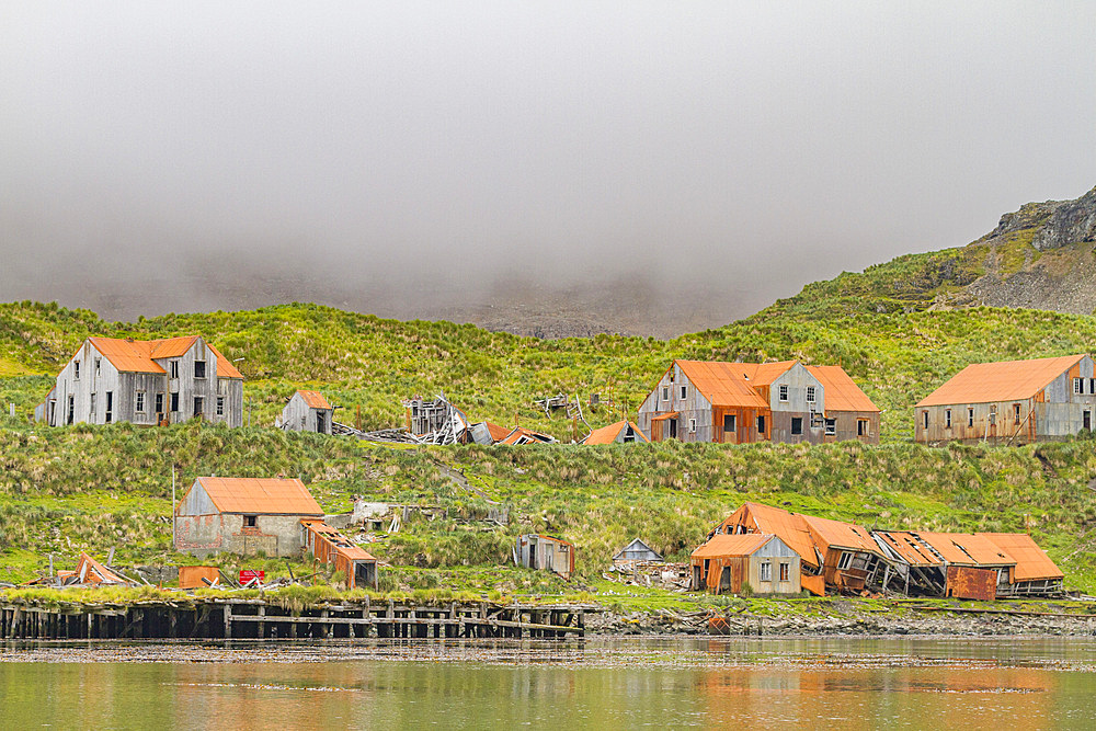 Views of the abandoned whaling station in Prince Olav Harbor on South Georgia, Southern Ocean, Polar Regions