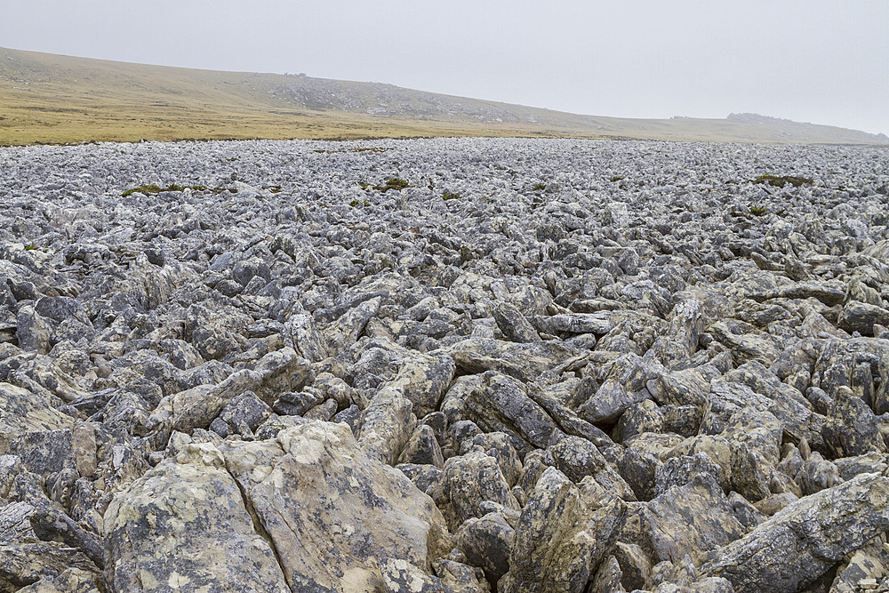 Views of the famous stone runs just outside Stanley, the capital and only true city , with a cathedral, in the Falkland Islands, South America