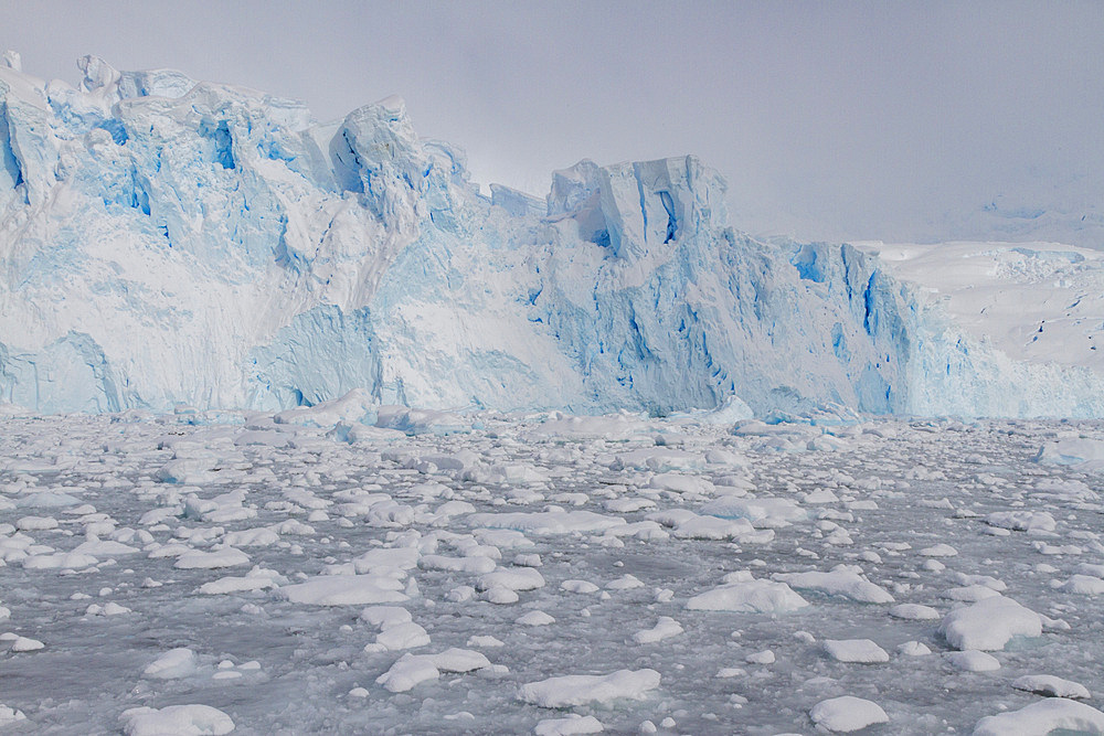 Icebergs and brash ice in Kayak Cove, Brabant Island, near the Antarctic Peninsula during the austral summer months.