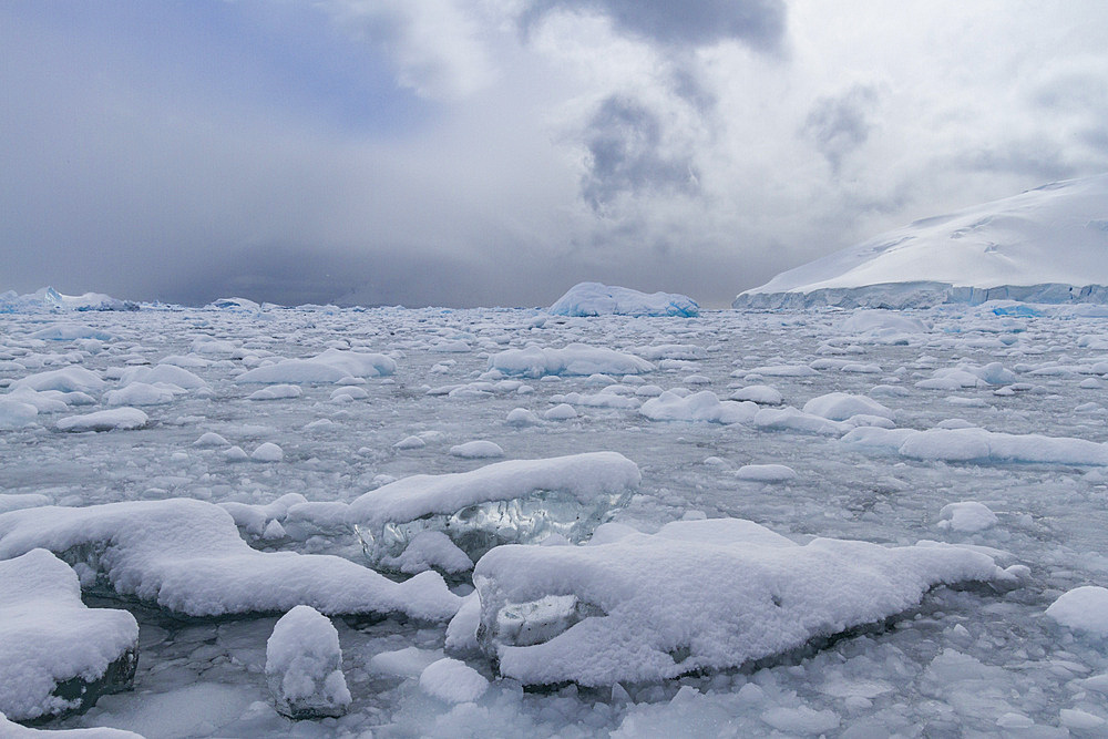 Icebergs and brash ice in Kayak Cove, during the austral summer months, Brabant Island, near the Antarctic Peninsula, Antarctica, Polar Regions