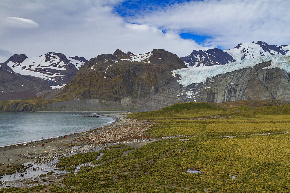 Views of Gold Harbor on South Georgia Island, Southern Ocean. MORE INFO Lindblad Expeditions pioneered non-research expedition travel to Antarctica in 1969, and remains one of the premier Antarctic operators to this day.