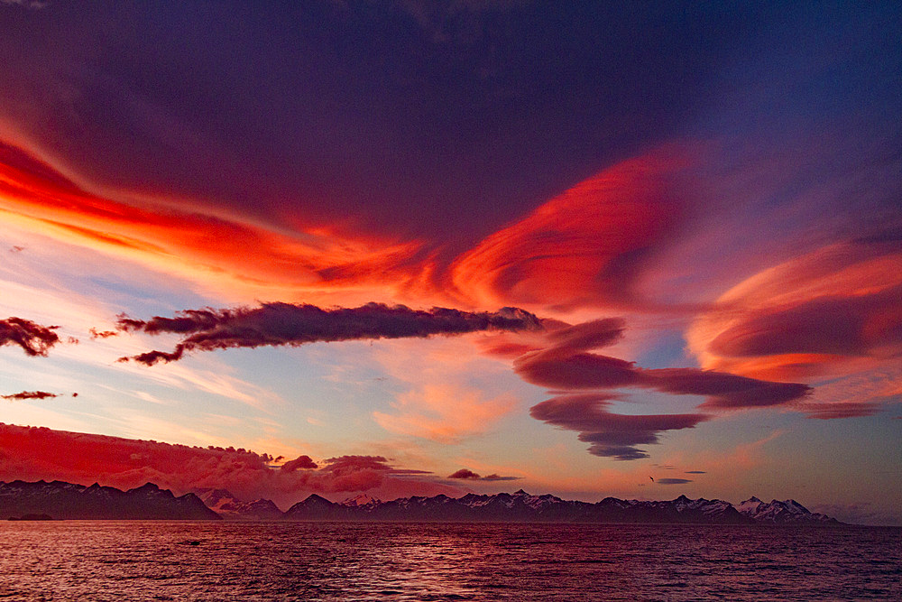 Interesting lenticular cloud formations forming over the island of South Georgia at sunset in the Southern Ocean