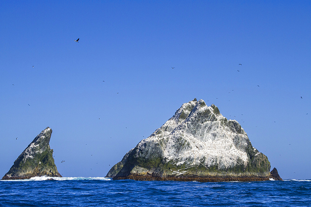 Shag Rocks, Scotia Sea, South Atlantic Ocean