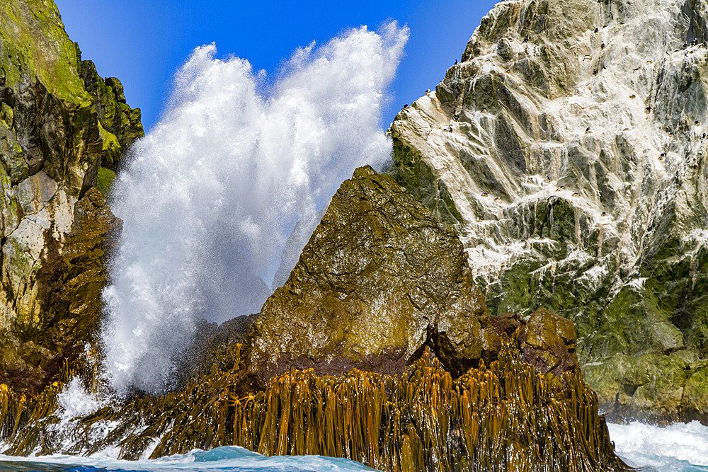 Very remote Shag Rocks, near South Georgia Island in the Scotia Sea, South Atlantic Ocean