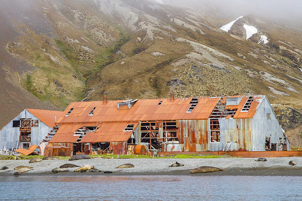 Views of the abandoned whaling station at Stromness Harbor on South Georgia Island, Southern Ocean