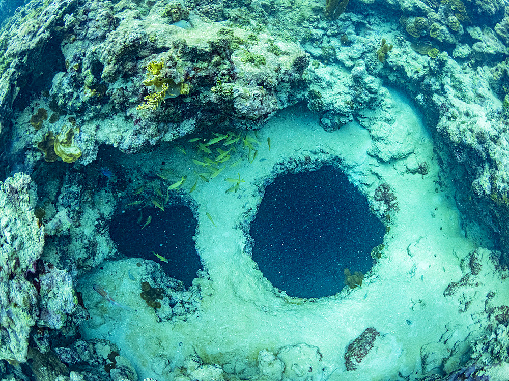 A myriad of fish and coral underwater at Hol Chan Marine Preserve, inside the Mesoamerican Barrier Reef, Belize.